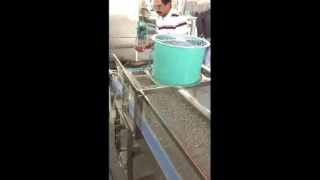 Máquina Elétrica Multifuncional para Limpeza de Pisos Caminhão Varredor de Relva Artificial Planta de Fabricação Personalizada